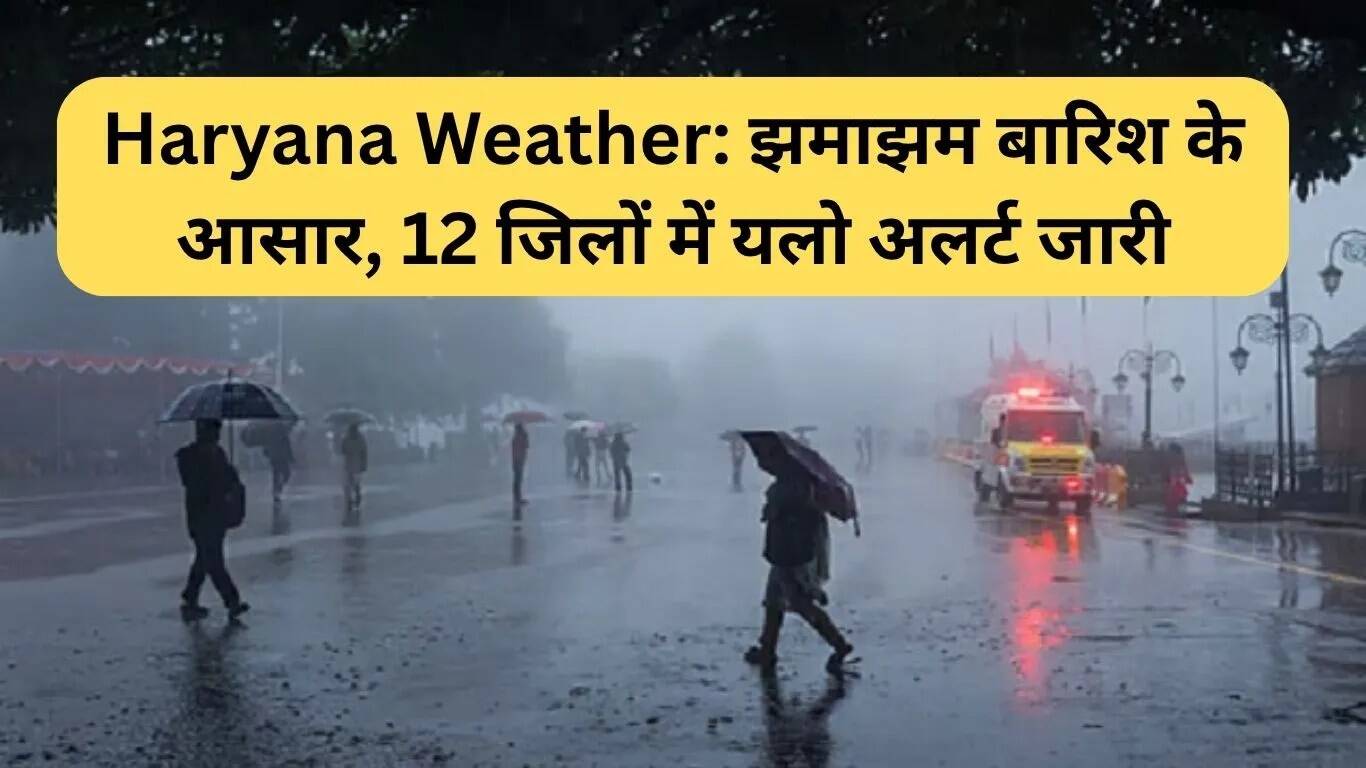 हरियाणा में बारिश का अलर्ट: 12 जिलों में येलो अलर्ट जारी