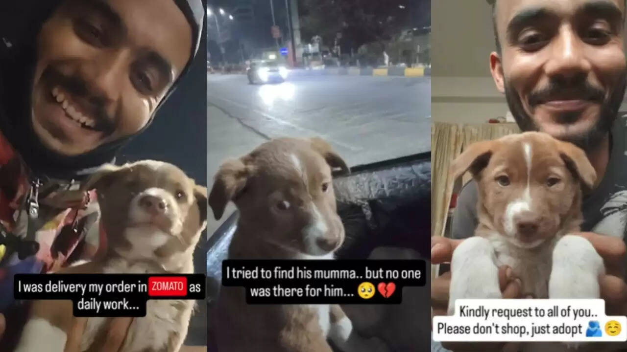 जोमैटो डिलीवरी एजेंट ने पपी को बचाकर जीता दिल, वीडियो हुआ वायरल