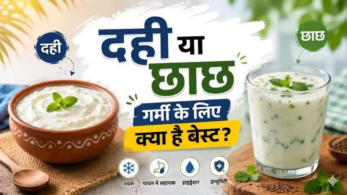 गर्मी में दही और छाछ: सेहत के लिए कौन सा बेहतर?