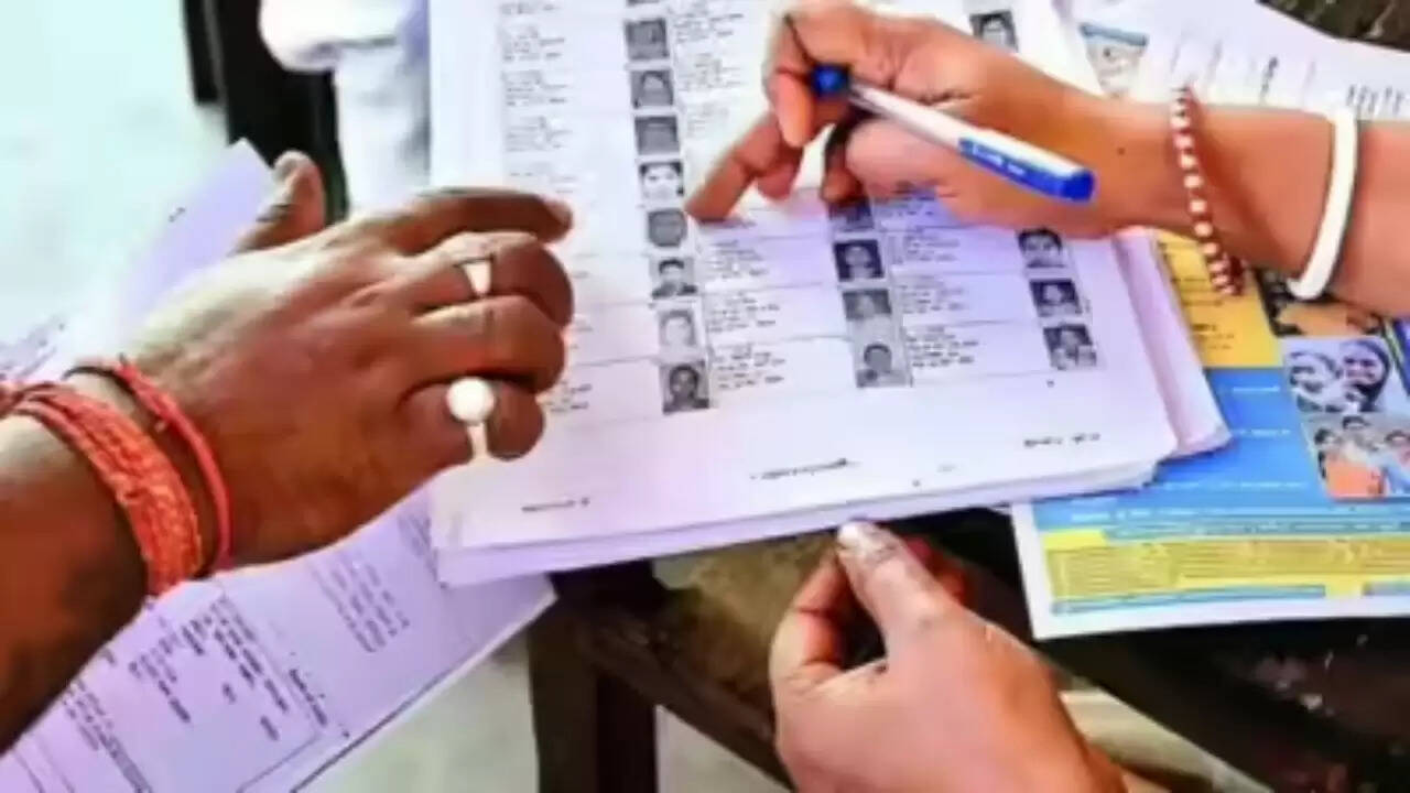 बिहार विधानसभा चुनाव 2025: सीमांचल में वोटर लिस्ट संशोधन पर चिंता
