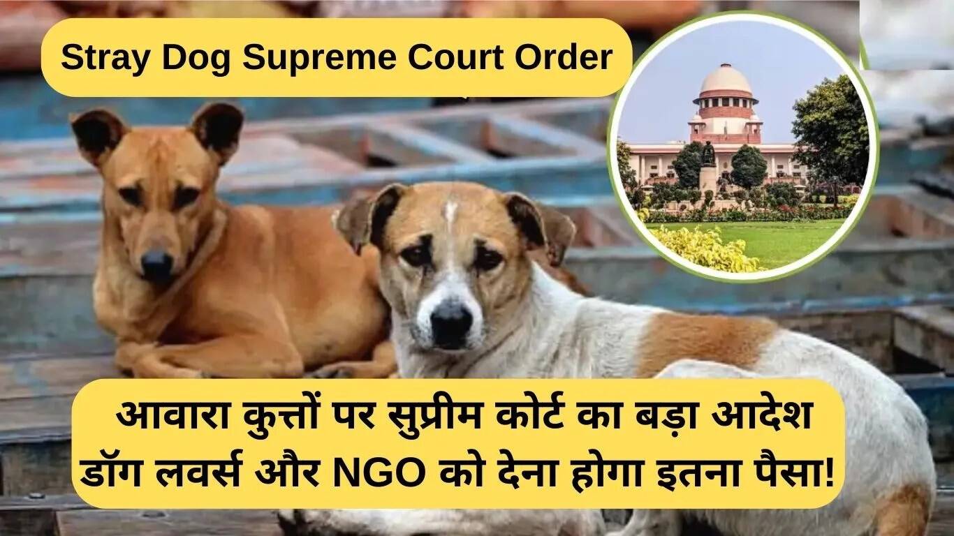 सुप्रीम कोर्ट का बड़ा आदेश: आवारा कुत्तों के लिए डॉग लवर्स और NGOs को देना होगा पैसा
