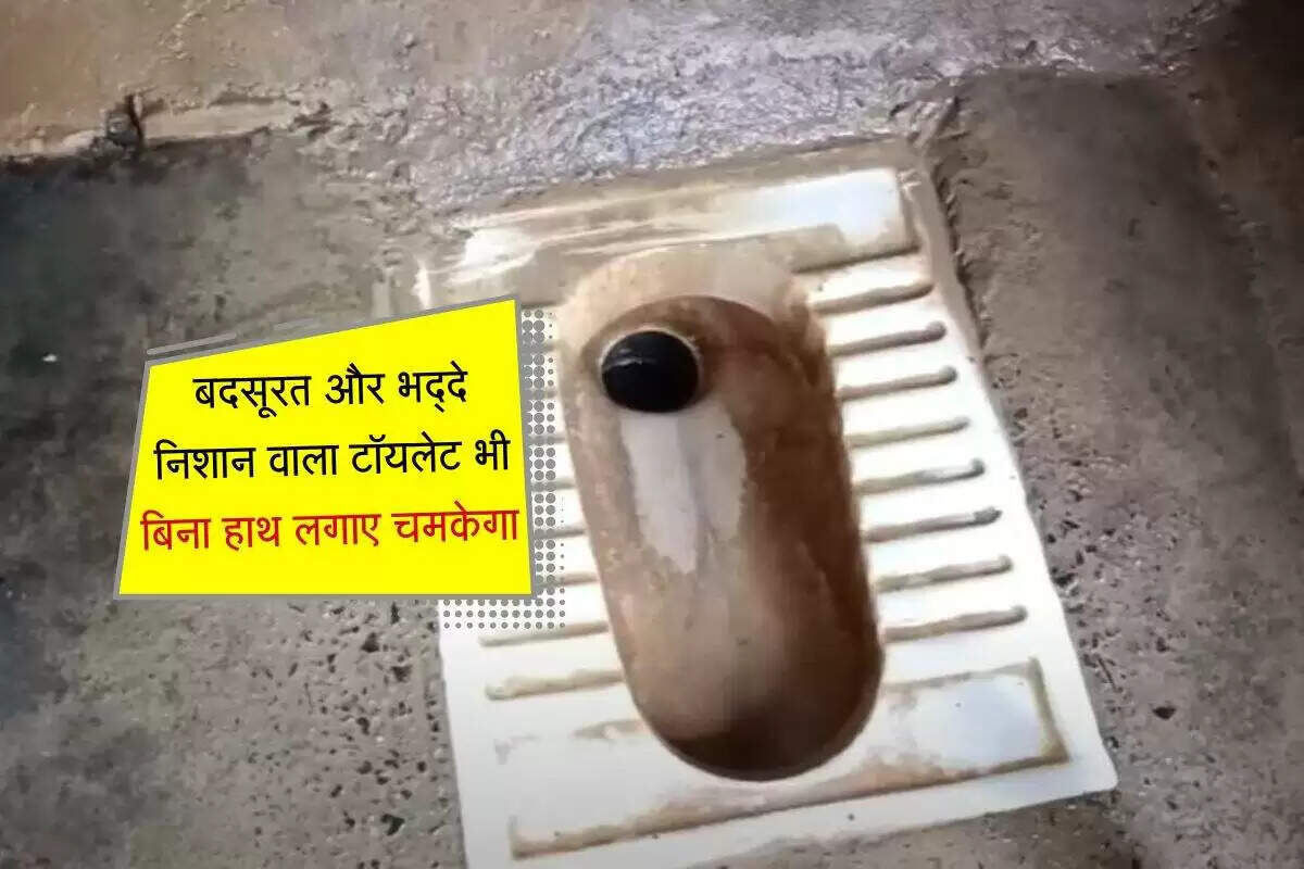 टॉयलेट सीट की सफाई के लिए आसान और प्रभावी उपाय