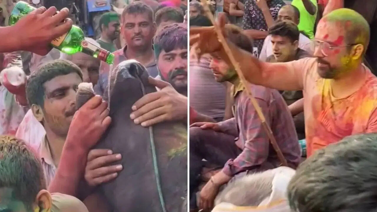 हरियाणा में होली पर गाय के साथ क्रूरता का वीडियो वायरल