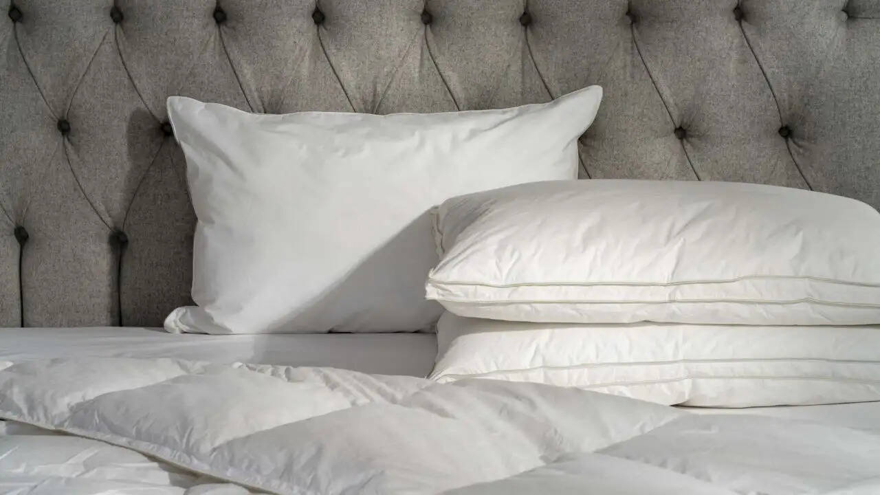 क्या आपका तकिया आपकी नींद को प्रभावित कर रहा है? जानें कब और क्यों बदलें