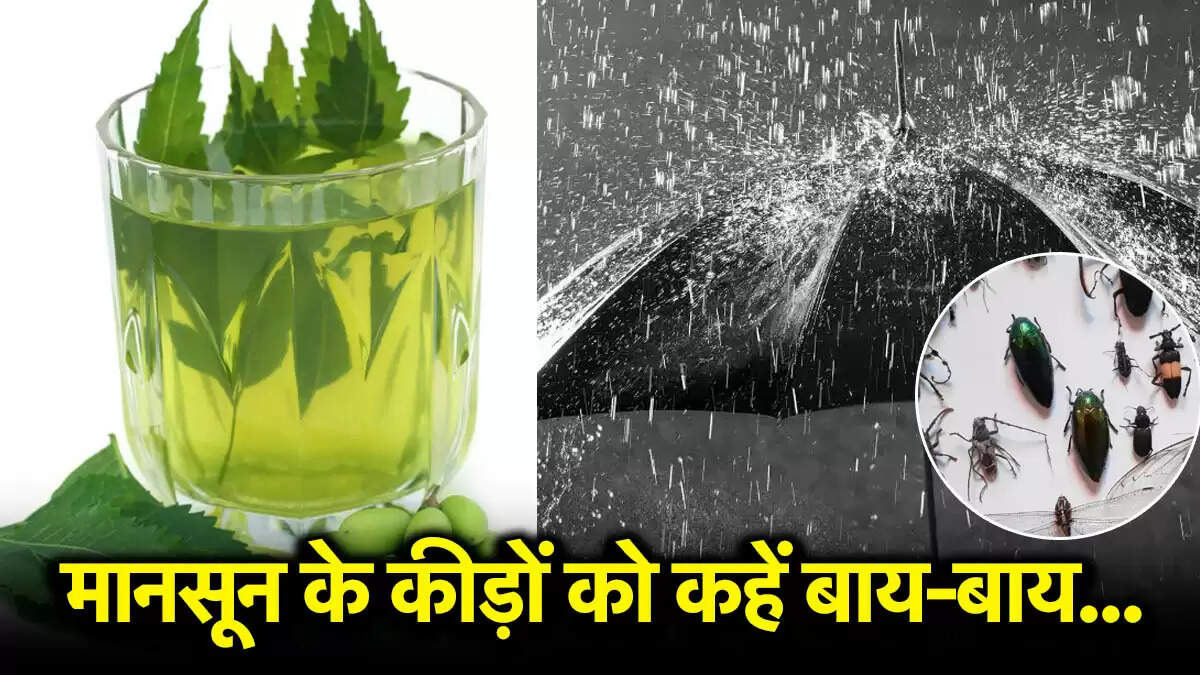 मॉनसून में कीड़ों से छुटकारा पाने के घरेलू उपाय
