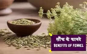 सौंफ के सेवन के अद्भुत स्वास्थ्य लाभ
