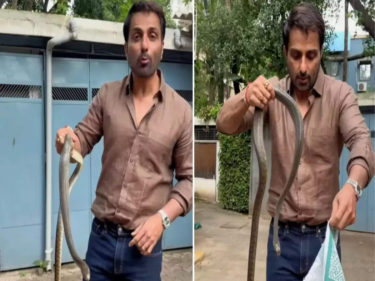 सोनू सूद ने पकड़ा 4 फीट लंबा सांप, सोशल मीडिया पर मचाई धूम