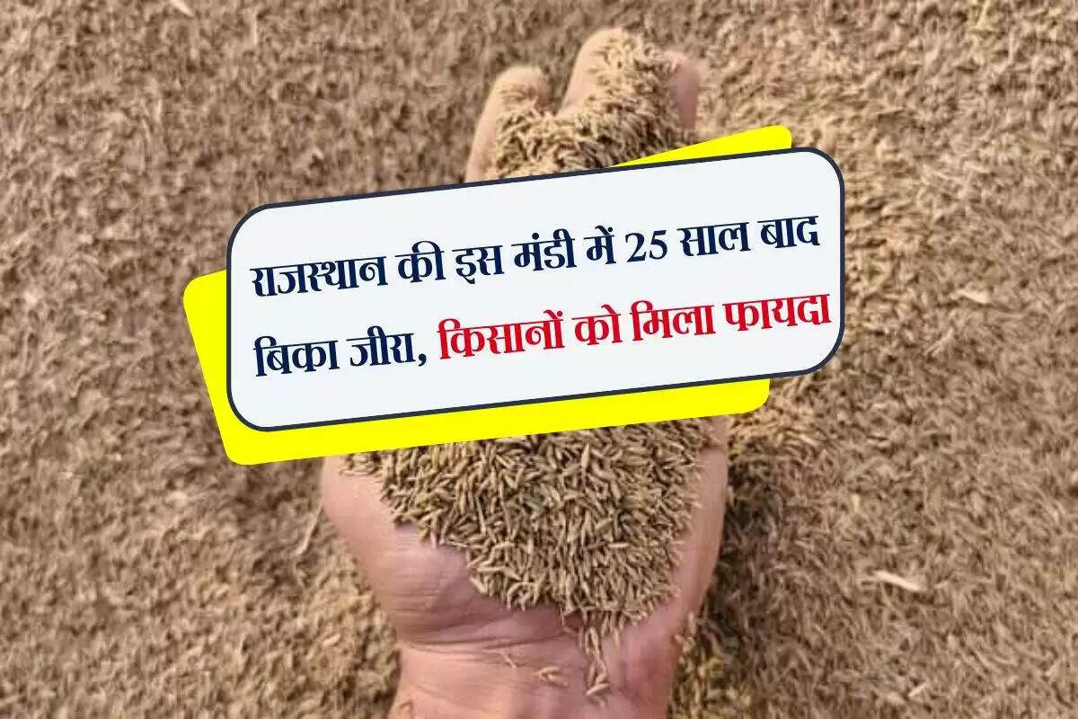 जैसलमेर में जीरा मंडी की शुरुआत: किसानों की उम्मीदें और चुनौतियाँ
