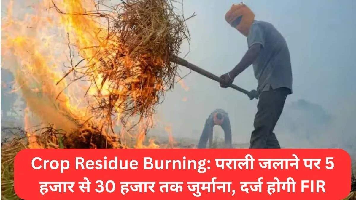 हरियाणा में पराली जलाने पर सख्त कार्रवाई का ऐलान
