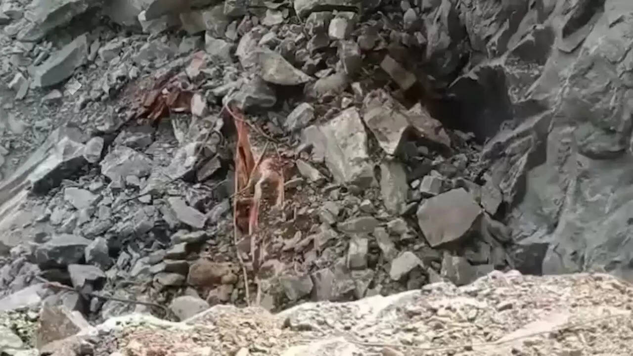 आंध्र प्रदेश में खदान हादसा: छह मजदूरों की जान गई, 10 घायल