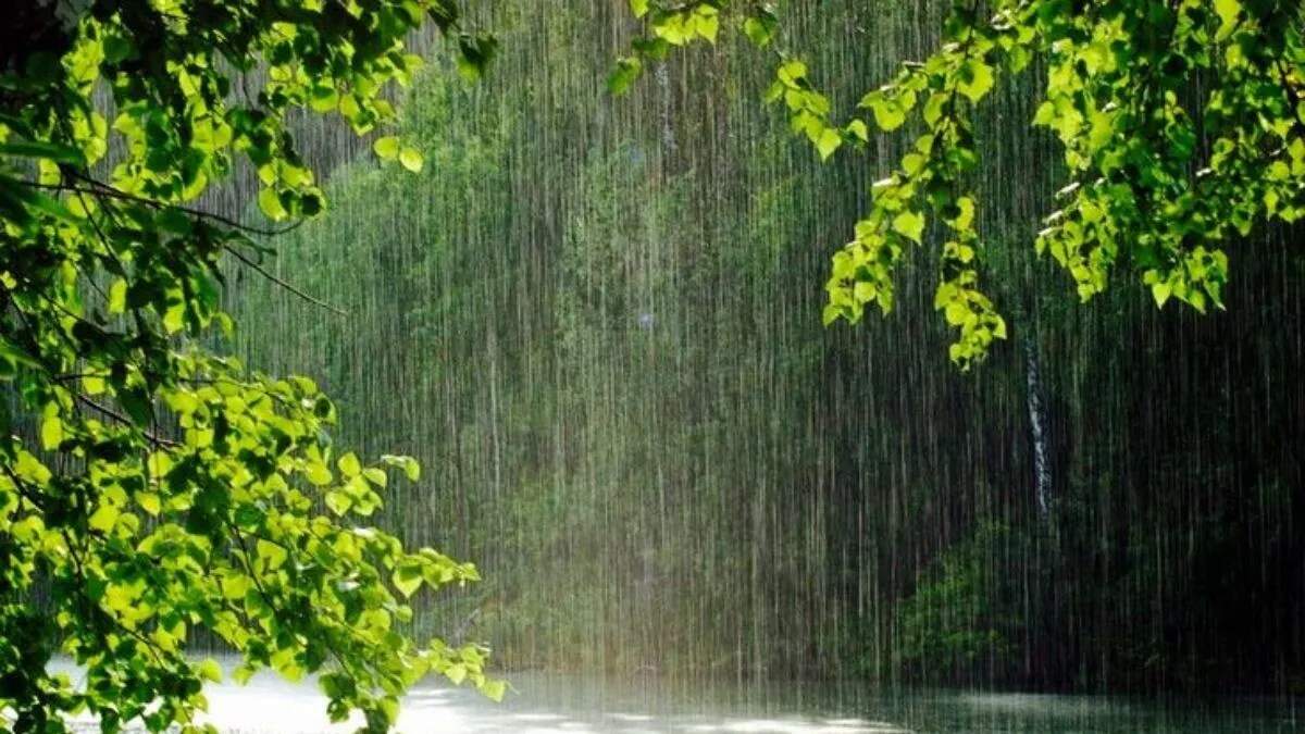 हरियाणा में मौसम का हाल: बारिश की संभावना और तापमान में बदलाव