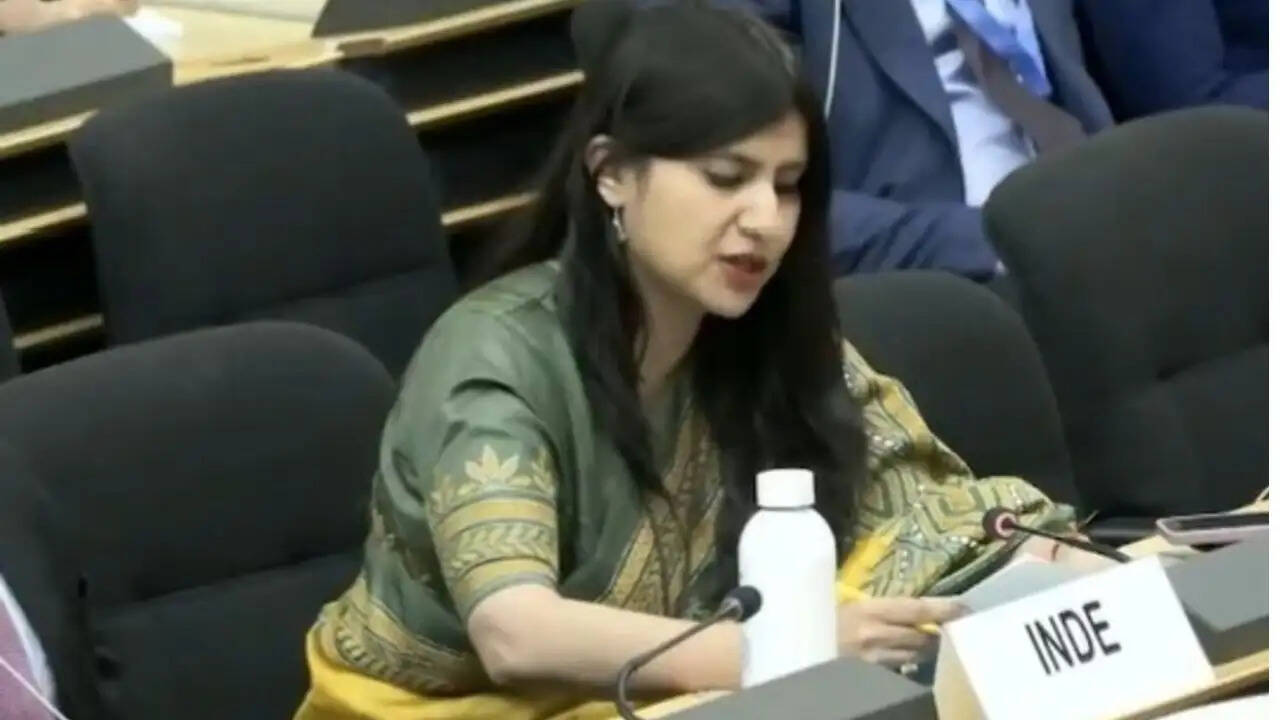 भारत ने UN में पाकिस्तान को दिया करारा जवाब, अनुपमा सिंह ने उठाए गंभीर मुद्दे