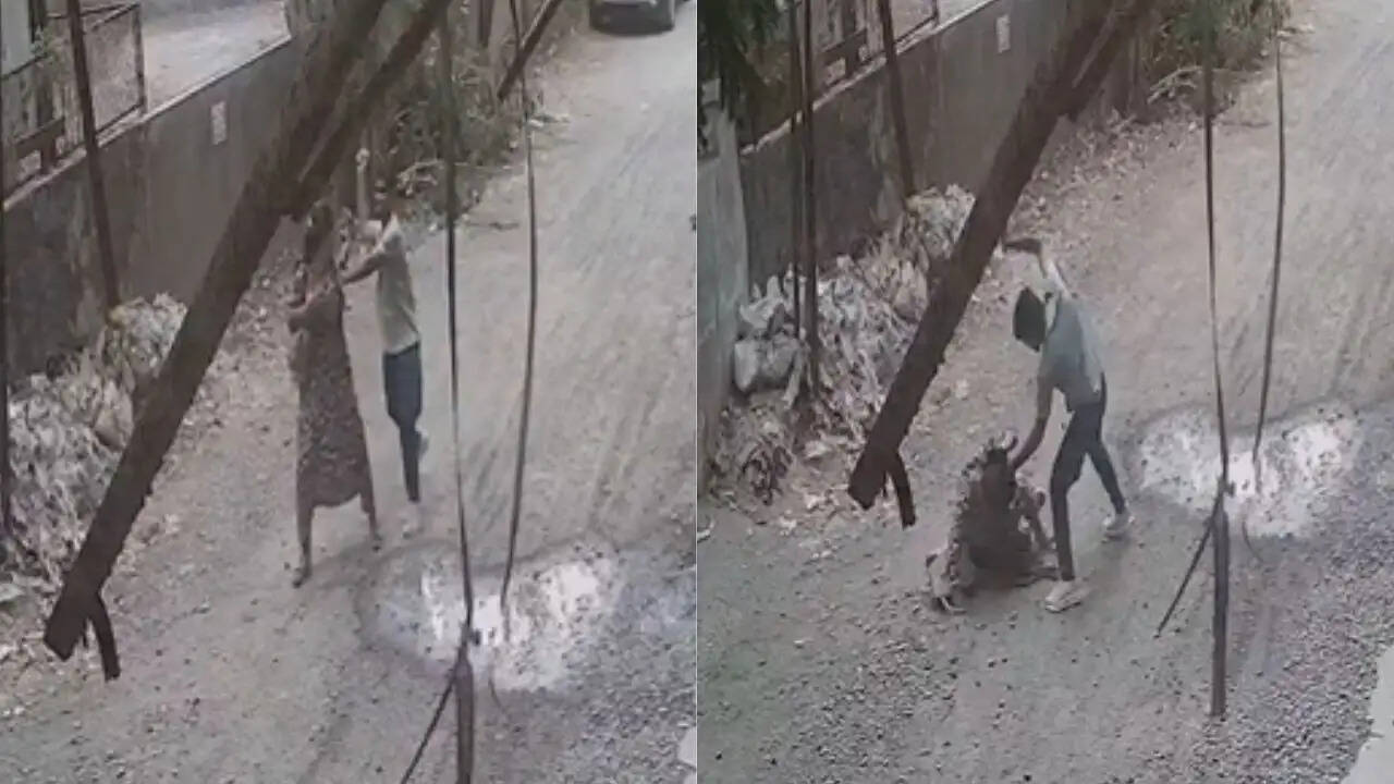 पालघर में युवती पर धारदार हथियार से हमला: आरोपी की तलाश जारी