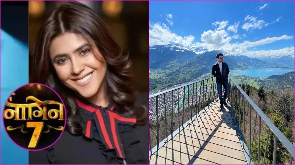नागिन 7: अविनाश मिश्रा ने शो में शामिल होने की अफवाहों पर दी प्रतिक्रिया