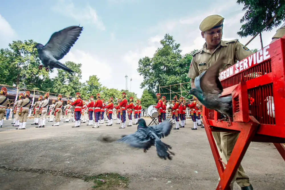 ओडिशा पुलिस की अनोखी कैरियर पिजन सर्विस: एक ऐतिहासिक विरासत