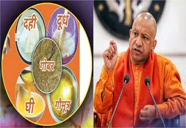 योगी सरकार का बड़ा कदम: गोमूत्र से 19 बीमारियों का इलाज