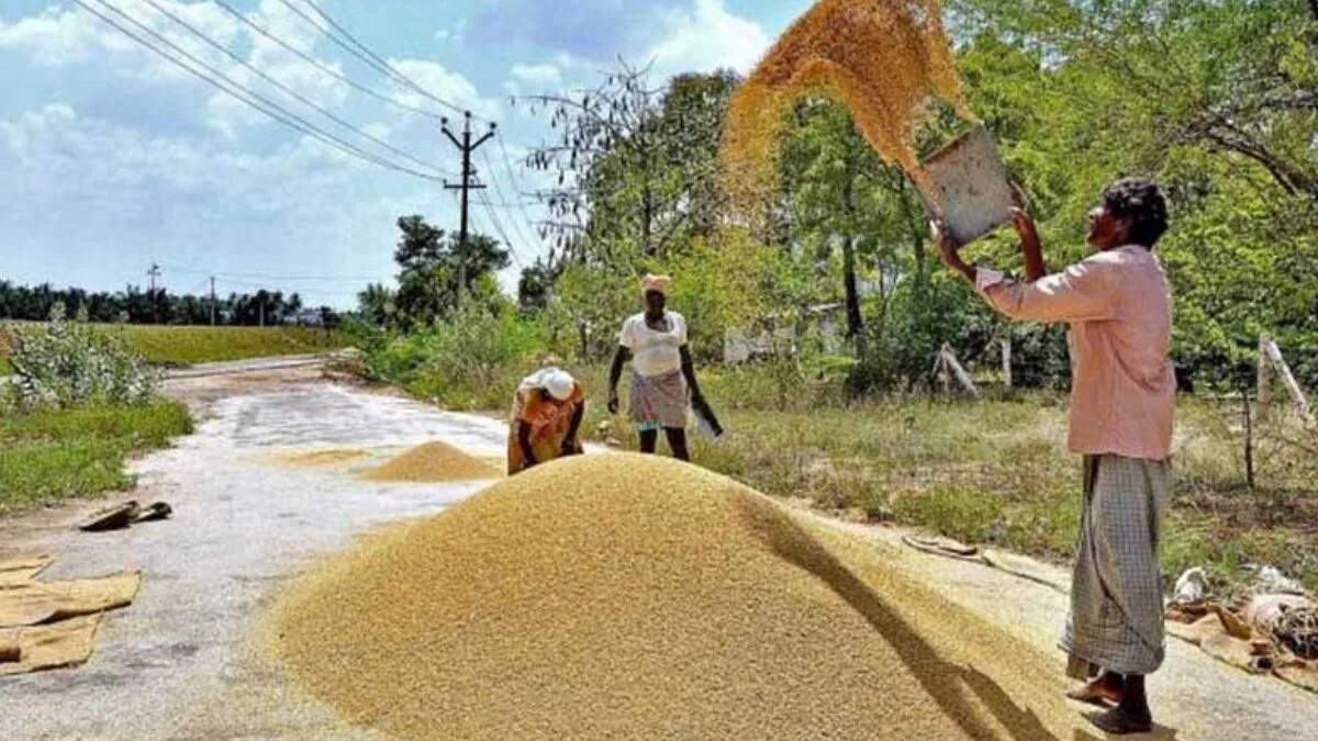 यमुनानगर में 75 करोड़ रुपये का धान घोटाला: राइस मिलर दंपती की संपत्तियां अटैच