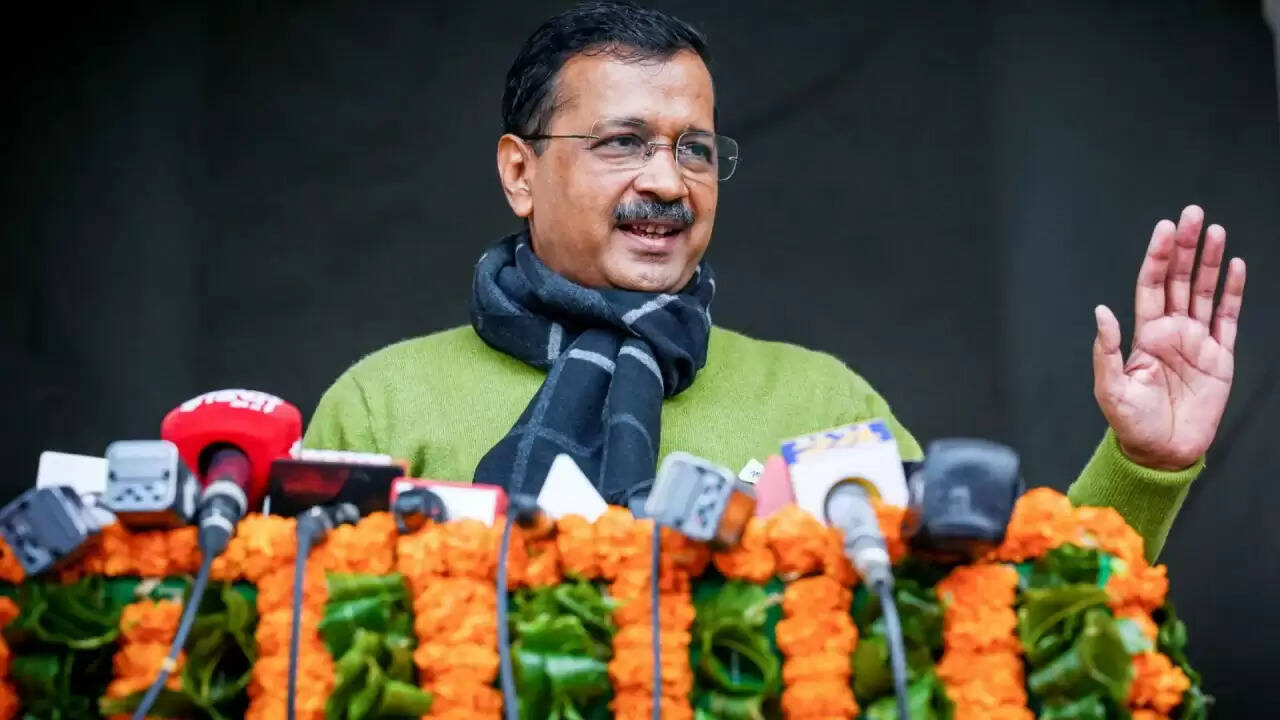 दिल्ली में शिक्षकों को आवारा कुत्तों की गिनती का आदेश: केजरीवाल का तीखा जवाब