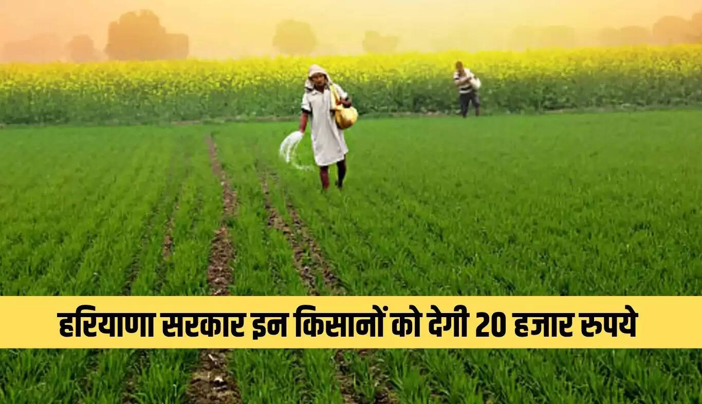 हरियाणा में किसानों के लिए नई योजनाएं: जैविक खेती को मिलेगा बढ़ावा