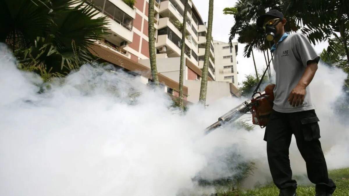 अंबाला में डेंगू के मामलों में कमी, स्वास्थ्य विभाग की सक्रियता