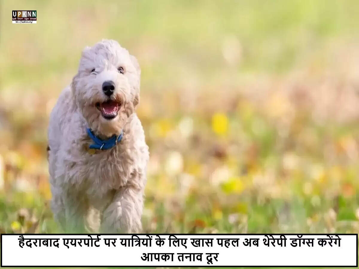 हैदराबाद एयरपोर्ट पर शुरू हुआ अनोखा थेरेपी डॉग प्रोग्राम
