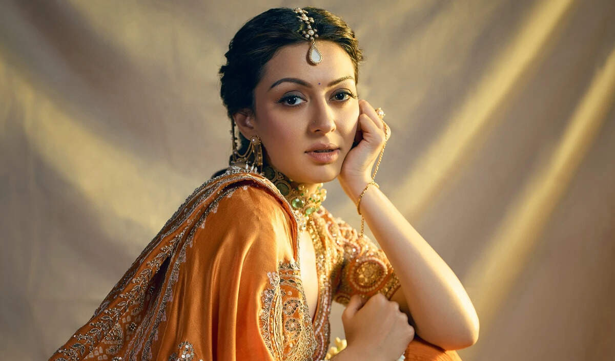 हंसिका मोटवानी और सोहेल कथूरिया के तलाक की अटकलें: क्या खत्म हो गई प्रेम कहानी?