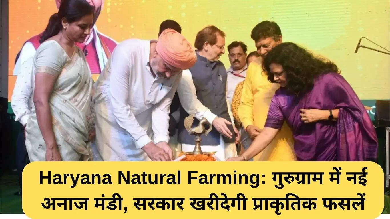 हरियाणा में प्राकृतिक खेती को बढ़ावा देने के लिए नई अनाज मंडी की शुरुआत