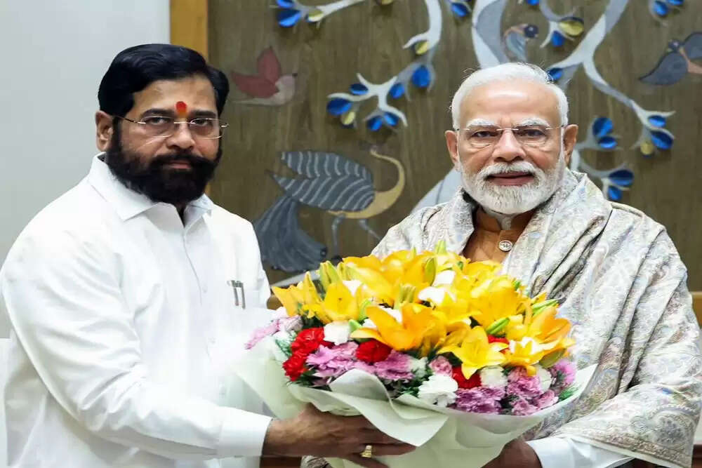 प्रधानमंत्री मोदी के जन्मदिन पर विज्ञापनों की भरमार