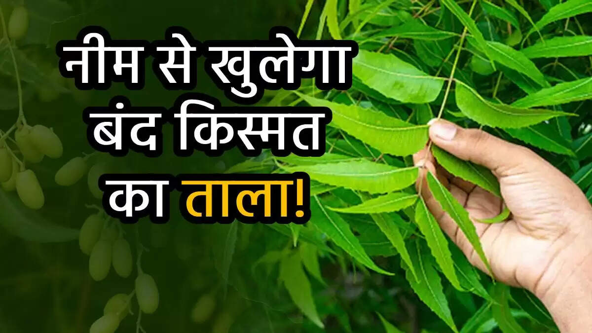 नीम के टोटके: किस्मत और धन के लिए 5 प्रभावी उपाय