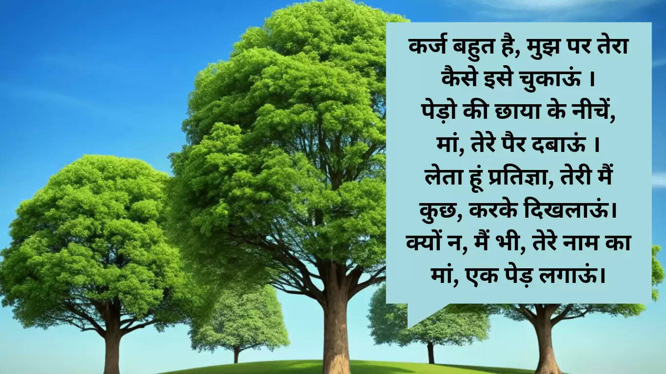 माँ के नाम एक पेड़: भावनाओं और प्रकृति का संगम