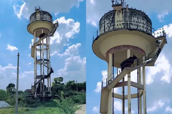 अजमेर में सांड ने 60 फीट ऊंची पानी की टंकी पर चढ़कर मचाया हड़कंप