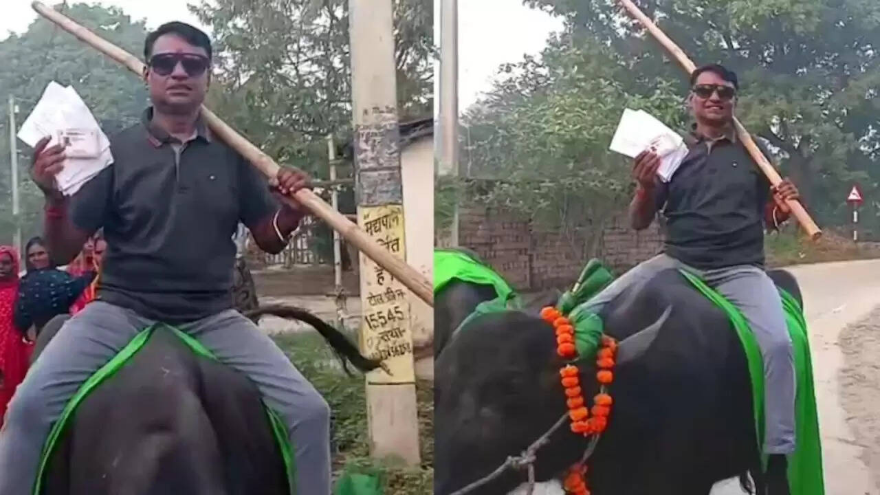 बिहार विधानसभा चुनाव 2025: भैंस पर सवार होकर वोट डालने पहुंचे केदार प्रसाद यादव