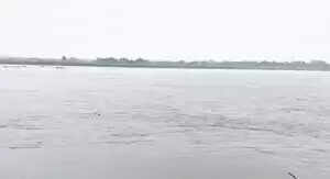 यमुना नदी का जलस्तर बढ़ा, स्थानीय लोगों की धार्मिक गतिविधियों पर असर