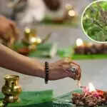 पितृ पक्ष में तुलसी पूजा: जानें इसके महत्व और विधि