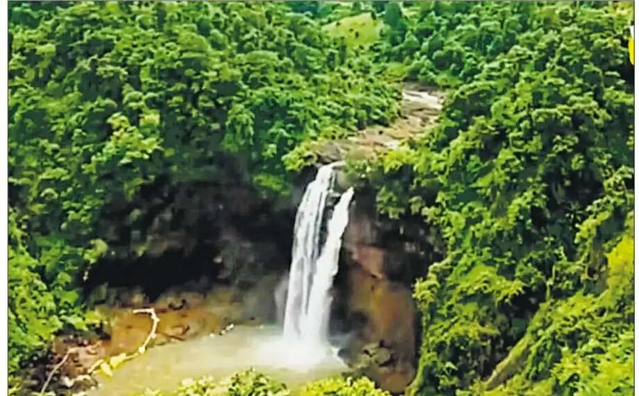 बलरामपुर : सरगुजा संभाग का सबसे ऊंचा कोटली जलप्रपात बरसात में अपने पूरे निखार व उफान पर