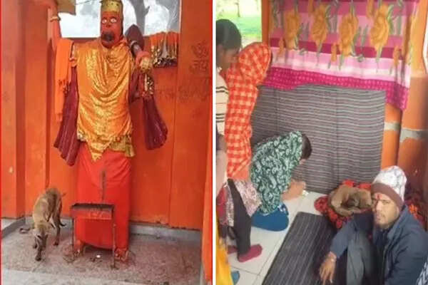 बिजनौर में कुत्ते की रहस्यमयी परिक्रमा से भक्तों में उमड़ी आस्था