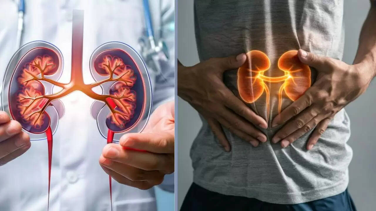 किडनी स्वास्थ्य को बनाए रखने के लिए आवश्यक टिप्स