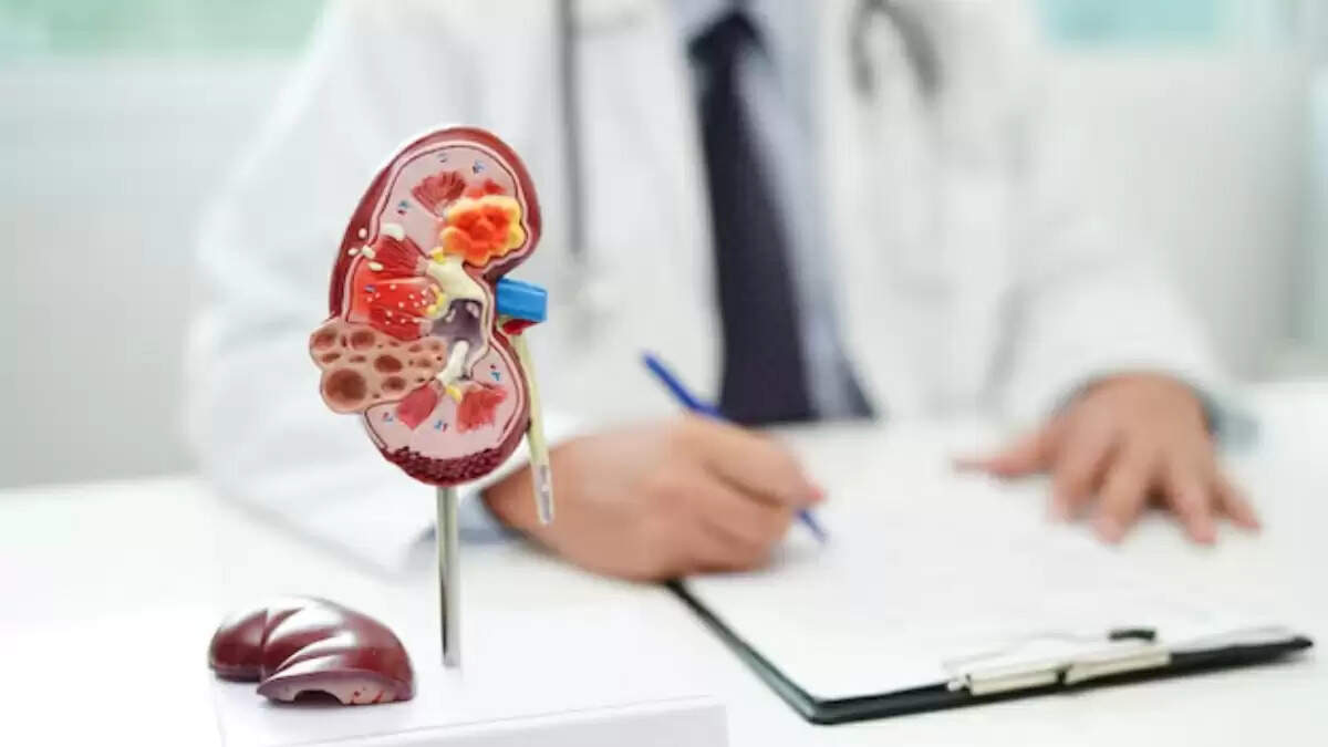किडनी डैमेज के लक्षण: शरीर के इन हिस्सों में दर्द हो सकता है संकेत