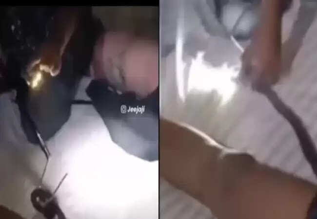 सोते समय पैंट में घुसा सांप, स्नेक कैचर ने किया बचाव