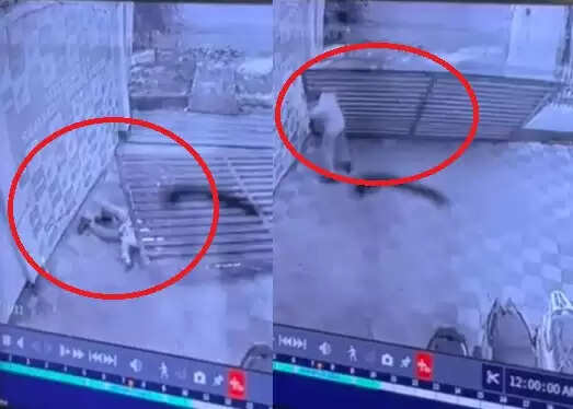 मुरादाबाद में सुरक्षा गार्ड की दर्दनाक मौत, CCTV में कैद हुआ हादसा