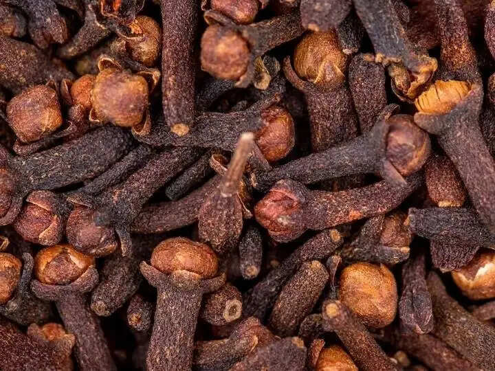 आयुर्वेदिक औषधियों के अद्भुत लाभ: स्वास्थ्य के लिए प्राकृतिक उपाय