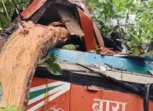 बाराबंकी में बस पर पेड़ गिरने से 6 लोगों की मौत