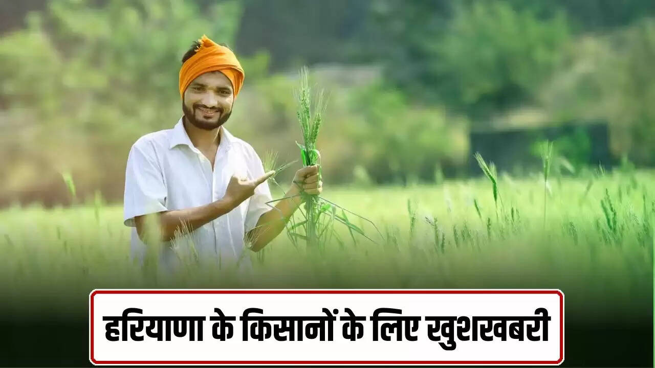 हरियाणा के किसानों के लिए ड्रोन तकनीक से फसल बीमारियों की पहचान