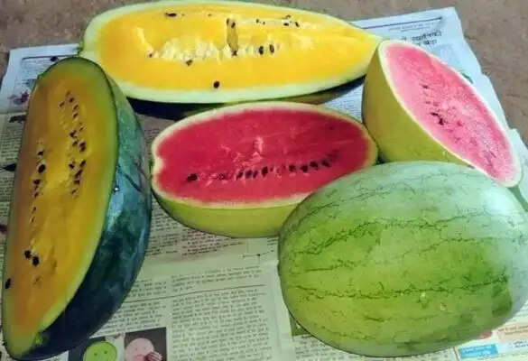 तरबूज की मिलावट पहचानने के सरल तरीके