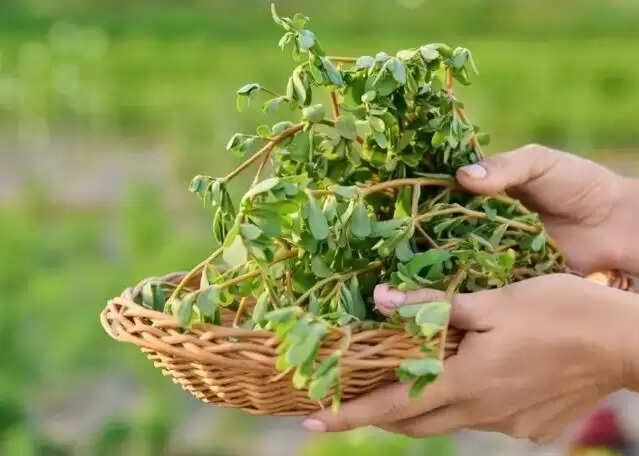 जितिया व्रत 2025: माताओं की संतान सुख के लिए विशेष अनुष्ठान