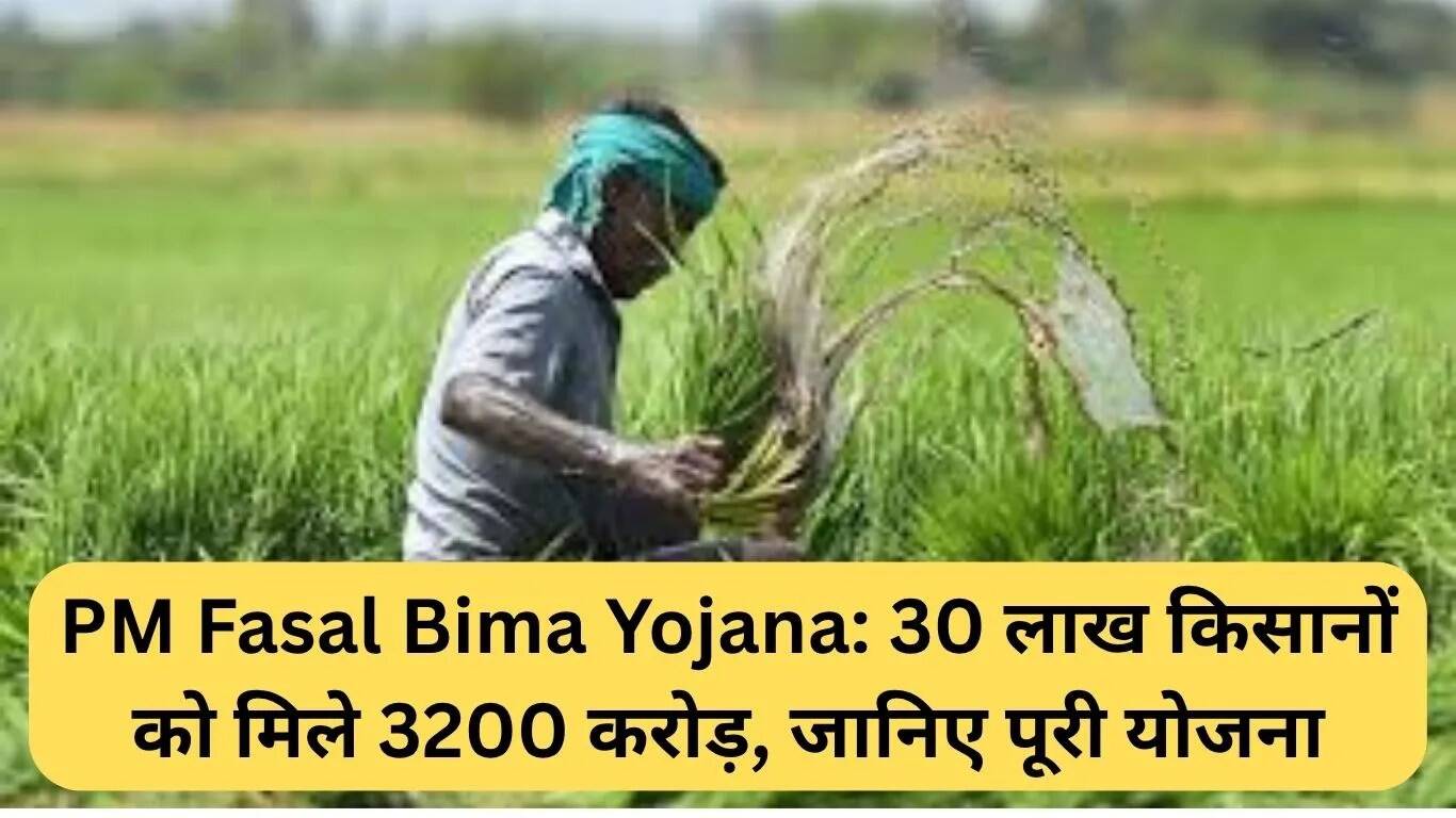 PM Fasal Bima Yojana: 30 लाख किसानों को मिली 3200 करोड़ रुपये की सहायता