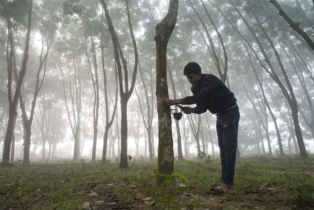 महाराष्ट्र सरकार का पेड़ गिरवी रखकर कर्ज लेने का निर्णय