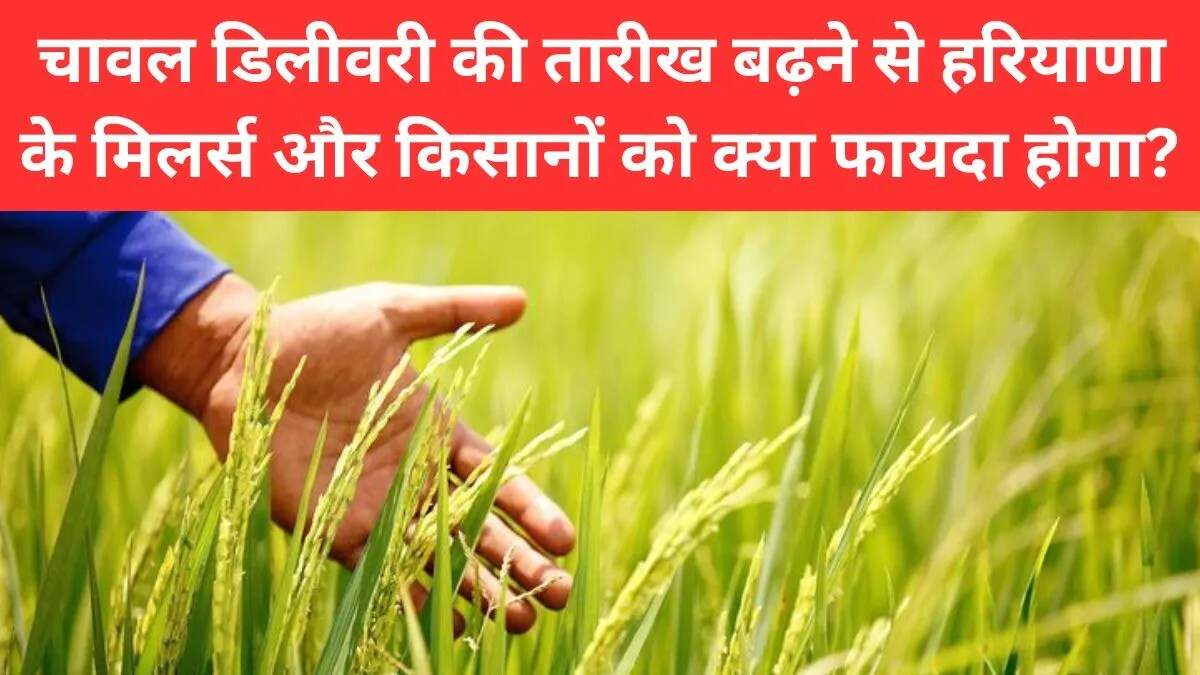 हरियाणा सरकार ने चावल डिलीवरी की तारीख बढ़ाई, किसानों को मिलेगा लाभ