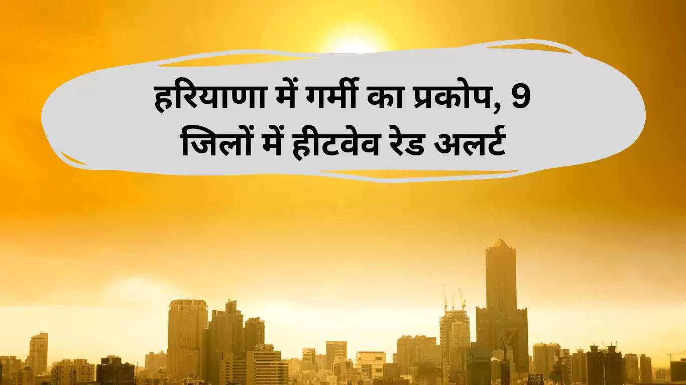 हरियाणा में हीटवेव का रेड अलर्ट: 9 जिलों में गर्मी का कहर