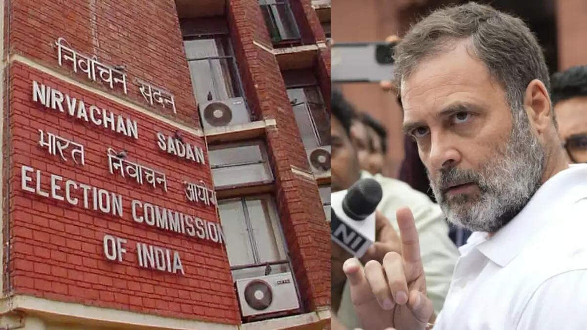 राहुल गांधी के बयान पर चुनाव आयोग की कड़ी प्रतिक्रिया